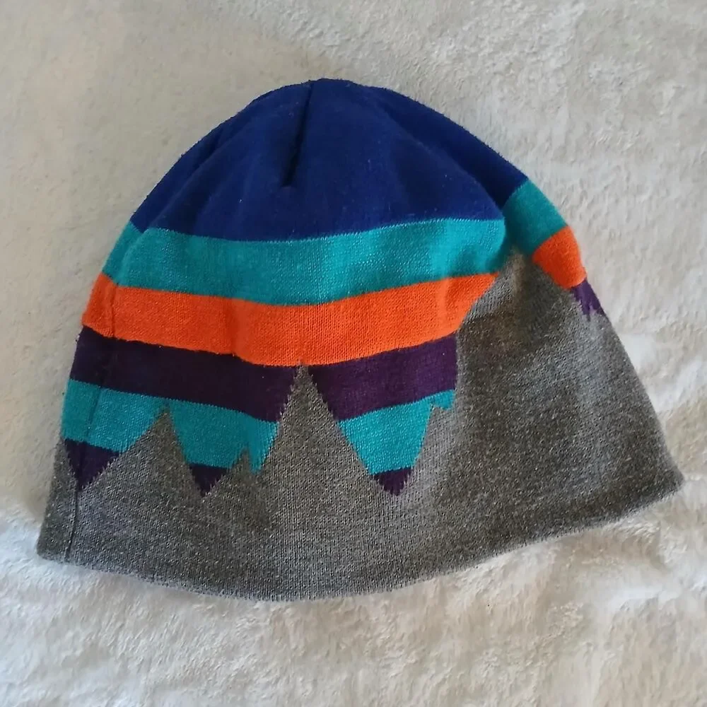 Patagonia mount fitz